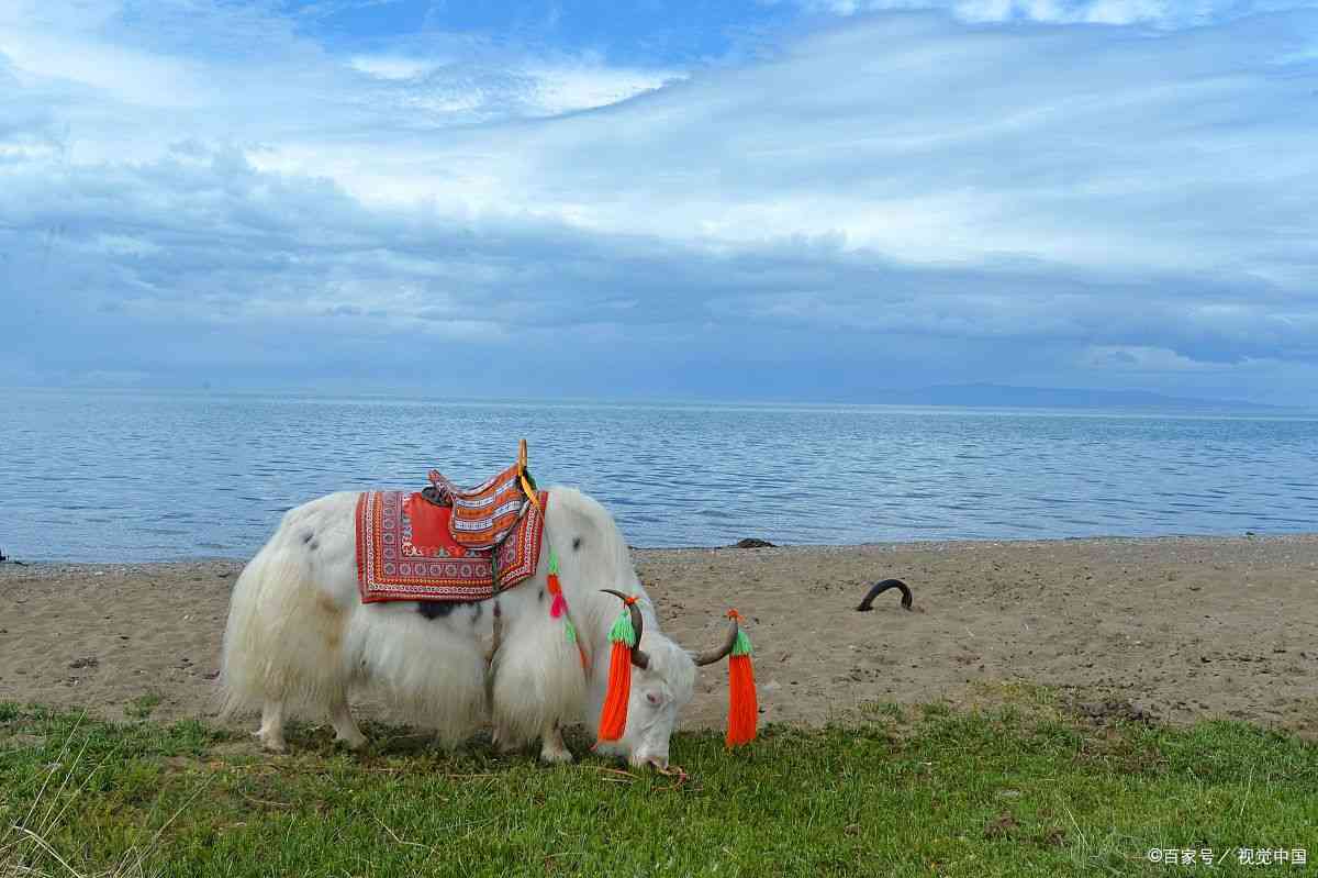 青海湖旅游最好的季节是什么