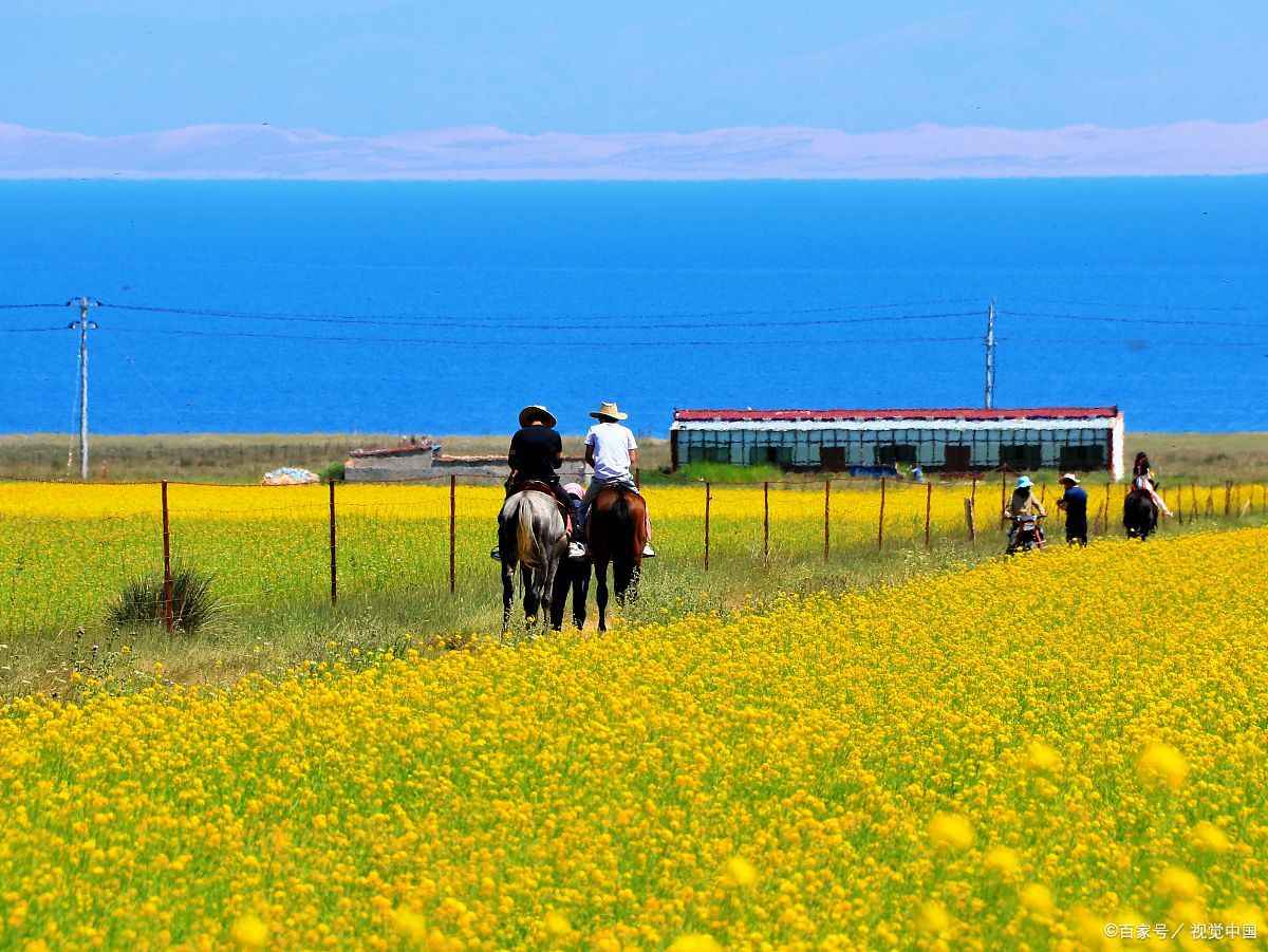 青海湖旅游最佳季节